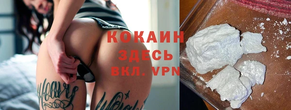 стафф Каменка