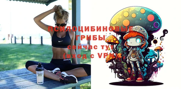 стафф Каменка