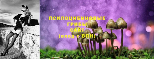 стафф Каменка