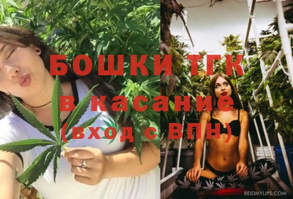 тгк Касимов
