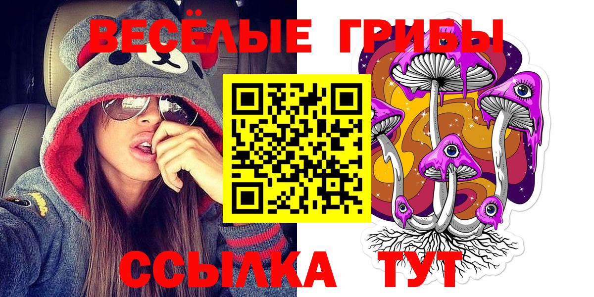 Моздок  Галлюциногенные грибы GOLDEN TEACHER  сколько стоит  Вход с VPN 