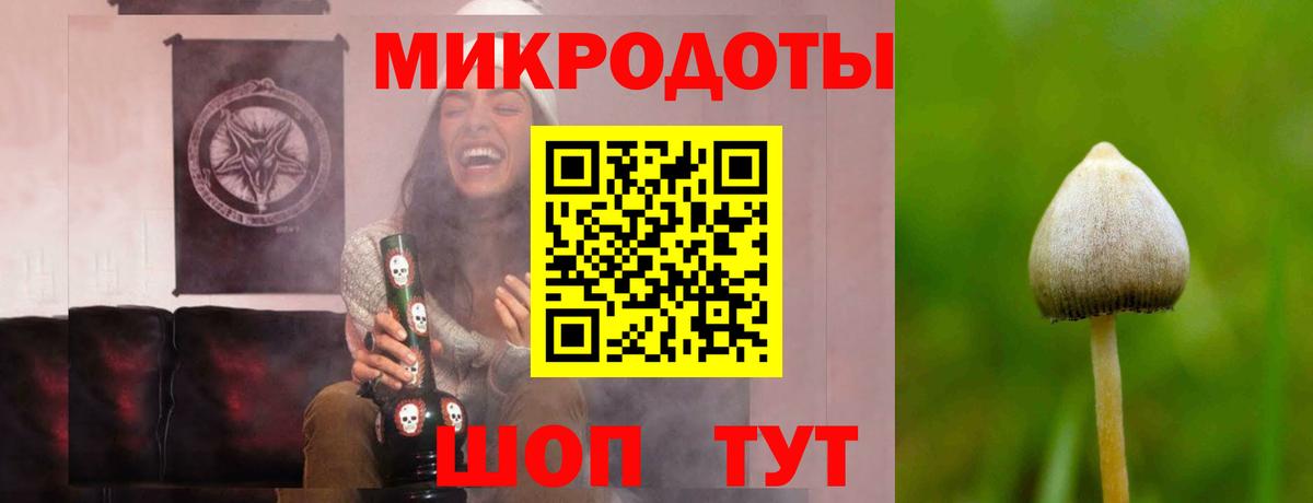 Псилоцибиновые грибы MAGIC MUSHROOMS Моздок